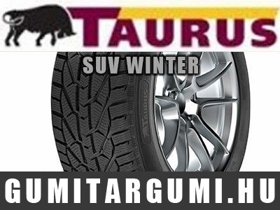 TAURUS SUV WINTER